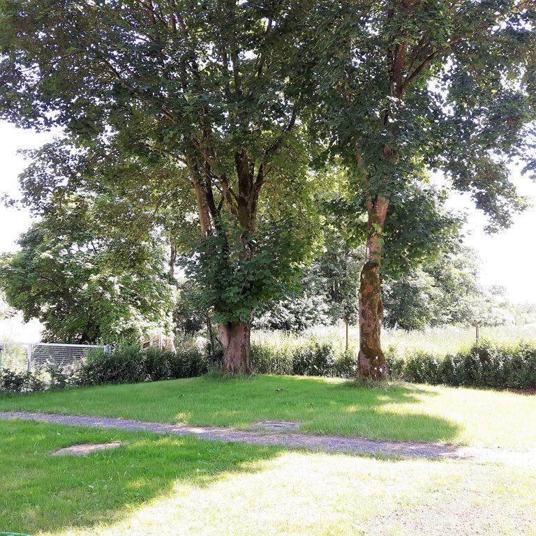Apartamento Landferien Eifel Pittenbach Exterior foto